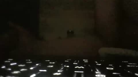 WhoMe online show from February 6, 9:43 am