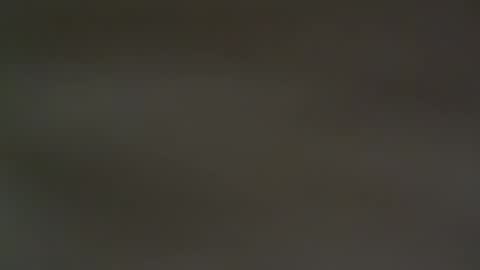 hellohowareyou66 online show from February 13, 6:38 pm