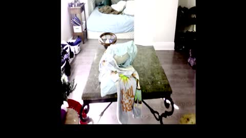 Snapshot of henryflapper chatting on January 4, 7:44 pm HenryFlapper online show from January 4, 7:44 pm