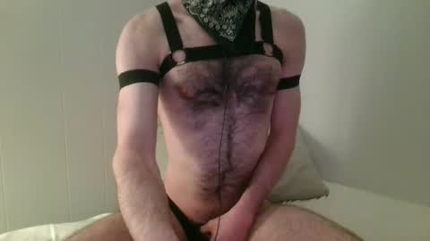 Hector or Hex for short online show from March 1, 5:20 am