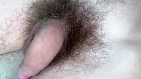 Snapshot of hey_arnold chatting on January 29, 9:17 pm Arnold online show from January 29, 9:17 pm