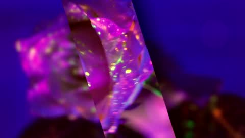 Alina online show from March 15, 5:08 pm