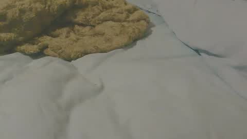 highanhorny72 online show from January 16, 3:10 am