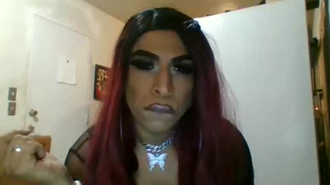 Snapshot of hihheelstranny chatting on April 12, 8:08 am hihheelstranny online show from April 12, 8:08 am