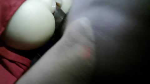 hob xxx online show from February 9, 3:00 am