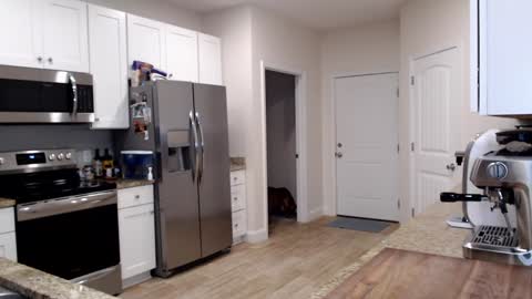 Holi Hurricane online show from September 24, 11:30 pm