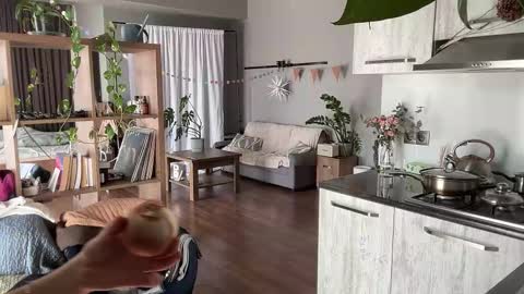 dori not holy get my tg channel with link from description under last photo online show from March 8, 10:08 am