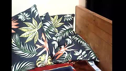 cristy online show from October 14, 10:10 pm