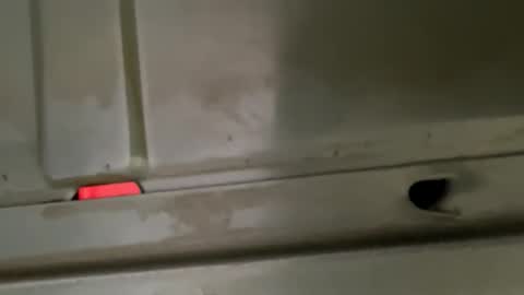 hondodeasy online show from February 25, 2:16 pm