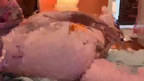 Snapshot of horndawglove chatting on January 6, 7:56 pm horndawglove online show from January 6, 7:56 pm