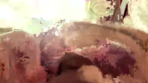 hornieecum online show from March 2, 11:17 am