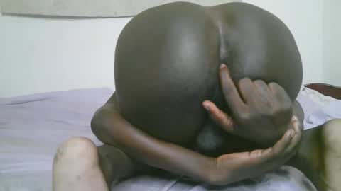 Snapshot of horny_animals247 chatting on December 17, 12:00 pm Harry online show from December 17, 12:00 pm