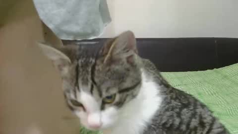 Serena online show from November 8, 6:24 am