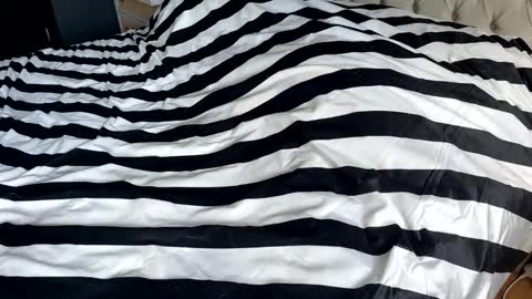 hornyasscouple1009 online show from January 17, 11:37 am