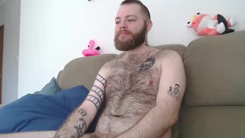 Snapshot of hornyhairy_bi chatting on February 24, 3:42 pm Harry online show from February 24, 3:42 pm