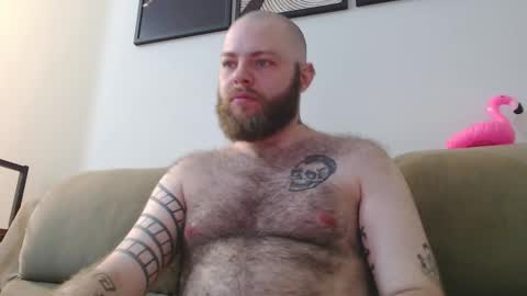 Snapshot of hornyhairy_bi chatting on October 23, 10:52 pm Harry online show from October 23, 10:52 pm