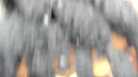 Snapshot of hot_moxie chatting on November 15, 4:43 am hot_moxie online show from November 15, 4:43 am