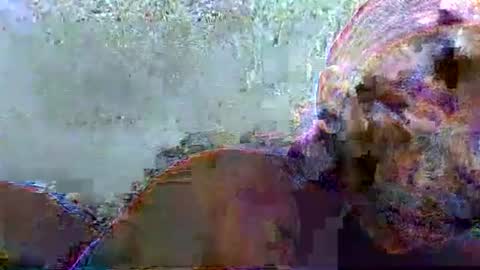 hotagrace online show from February 14, 7:16 am