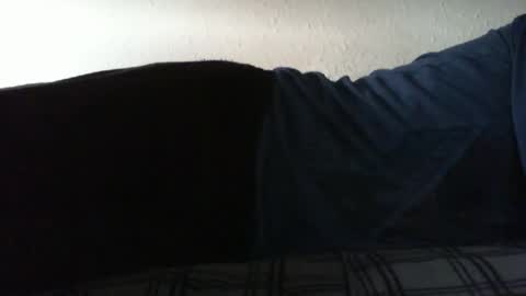 Snapshot of hotass159 chatting on May 18, 3:51 pm Bitch for abuse online show from May 18, 3:51 pm