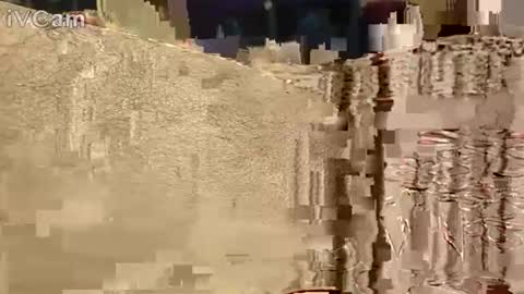 Hotcapolx online show from November 17, 10:32 am