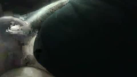 Snapshot of hotcream259 chatting on January 9, 3:04 am hotcream259 online show from January 9, 3:04 am