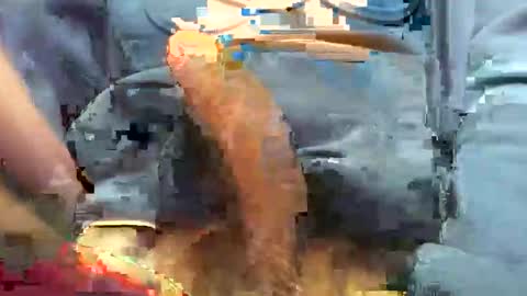 Snapshot of hotdick4200 chatting on November 19, 6:24 am hotdick4200 online show from November 19, 6:24 am