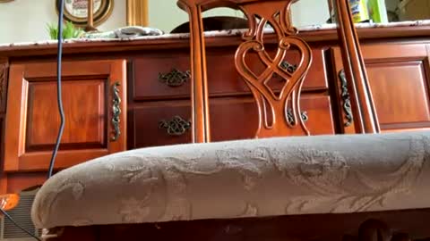 hotgirlbigbutt online show from July 20, 9:17 pm