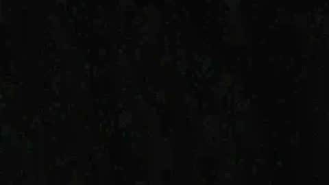 Jack online show from November 26, 5:19 am