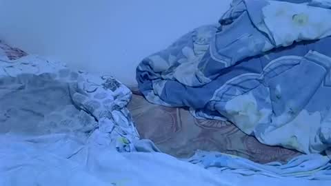 Sexy girl online show from March 14, 12:17 am