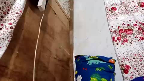 Angel online show from July 21, 2:30 pm