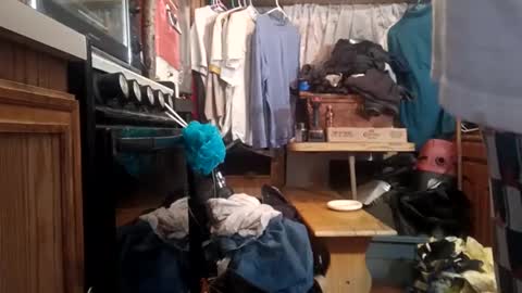 houndmefromhell online show from December 2, 10:50 am