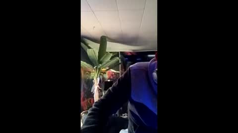 SeanPatrick online show from May 13, 1:19 pm