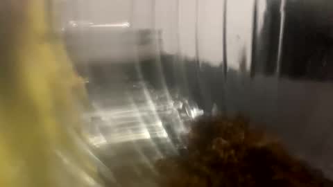 Snapshot of howarudoing chatting on October 5, 1:59 am howarudoing online show from October 5, 1:59 am