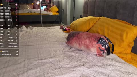 Elizabeth online show from December 23, 4:33 am