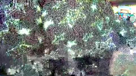 hp58649blabla online show from September 24, 7:55 am