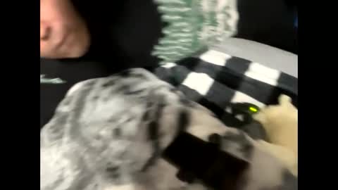 htfsb online show from February 15, 1:57 am