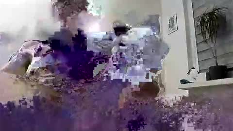 David online show from March 4, 6:58 pm