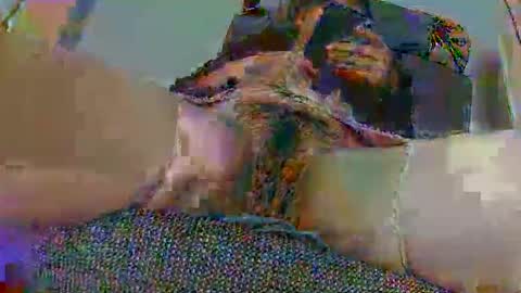 hujiajia520321431 online show from November 10, 11:53 am