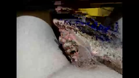 Snapshot of hung_mac0 chatting on February 17, 2:13 pm hung_mac0 online show from February 17, 2:13 pm