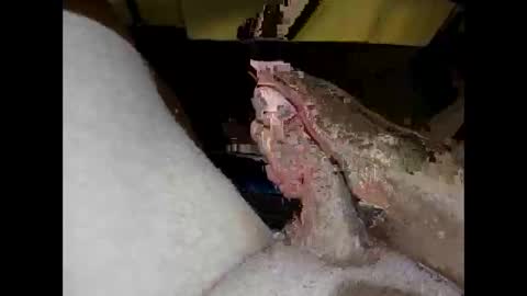 Snapshot of hung_mac0 chatting on April 27, 1:42 pm hung_mac0 online show from April 27, 1:42 pm