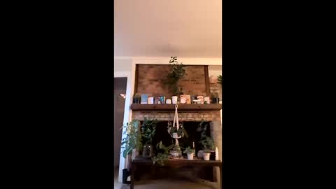 hungitalian40 online show from January 15, 1:26 pm