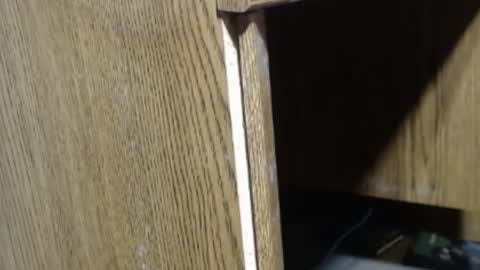 Snapshot of hungsofine chatting on December 18, 4:06 pm hungsofine online show from December 18, 4:06 pm