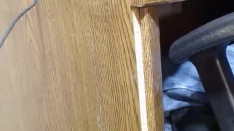 Snapshot of hungsofine chatting on December 23, 9:40 pm hungsofine online show from December 23, 9:40 pm