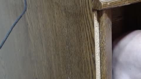 Snapshot of hungsofine chatting on February 16, 10:10 pm hungsofine online show from February 16, 10:10 pm