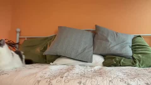 Olive online show from October 24, 11:12 pm