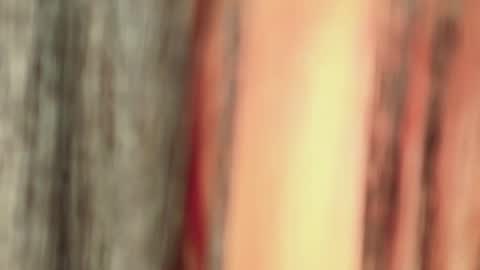 Isa online show from January 11, 4:50 am