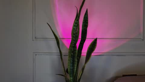 Crystall online show from October 3, 5:37 am