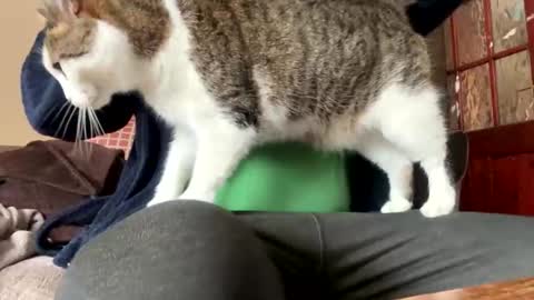 icums4u online show from March 24, 2:33 pm