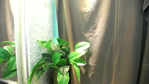 Snapshot of icy_heartxoxox chatting on February 3, 6:35 pm Heart online show from February 3, 6:35 pm