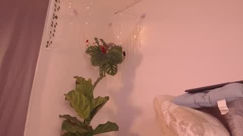 Kaia online show from January 9, 7:59 pm